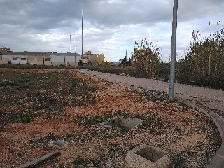 Número Once 8