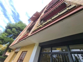 Ponent 3