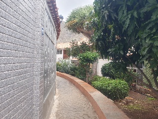 Chio 4