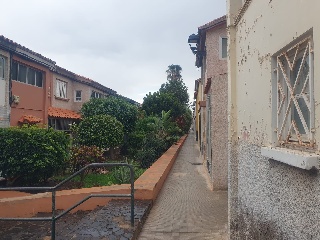 Chio 5