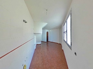 Camino Palmita 4