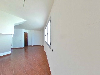 Camino Palmita 5