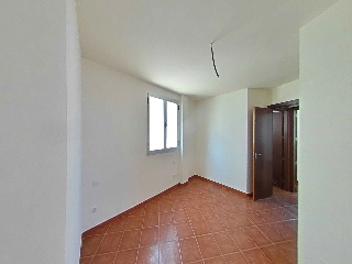 Camino Palmita 10