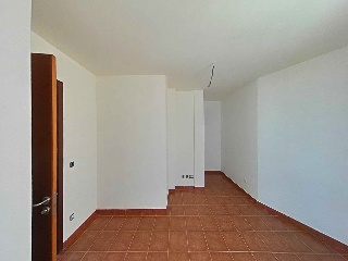 Camino Palmita 11