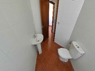 Camino Palmita 19