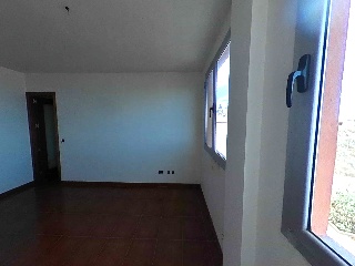 Camino Palmita 3