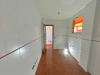 Camino Palmita 4