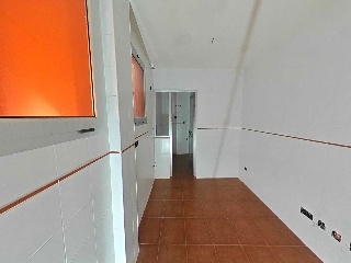 Camino Palmita 11