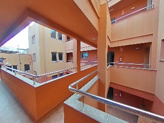 Camino Palmita 21
