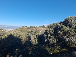 DEHESA VALDEAPA 3
