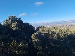 DEHESA VALDEAPA 4