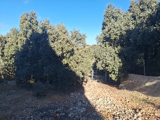 DEHESA VALDEAPA 6