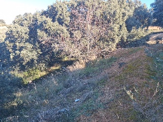 DEHESA VALDEAPA 8