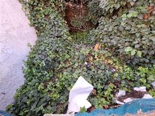 BARRIO ARRIBA 2