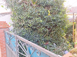 BARRIO ARRIBA 3
