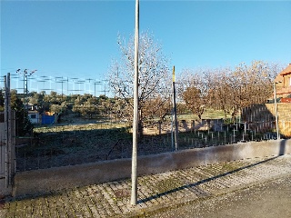 DEL PILON VIEJO 3