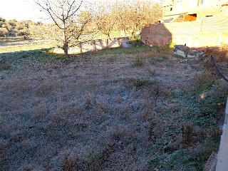 DEL PILON VIEJO 5