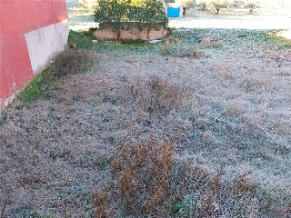 DEL PILON VIEJO 6