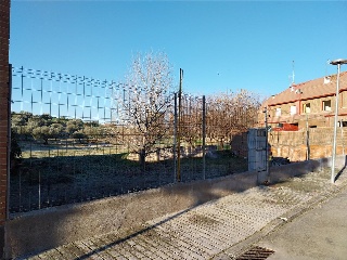 DEL PILON VIEJO 7