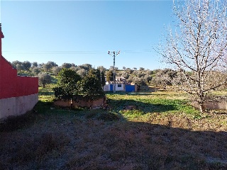 DEL PILON VIEJO 8