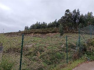 GALIÑEIRA - SAN CIPRIAN 17