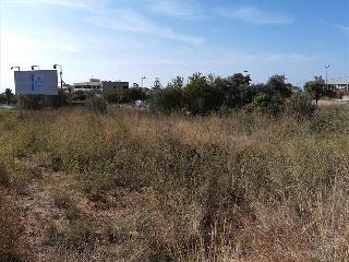 Pisos banco Alcanar