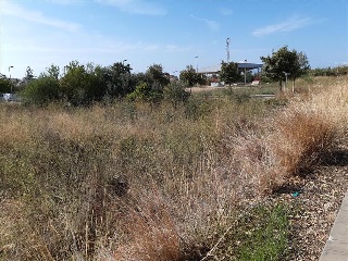 ROCA TALLADA 2