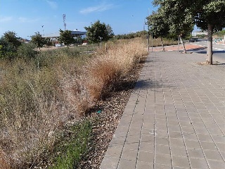 ROCA TALLADA 6