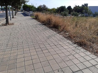 ROCA TALLADA 7