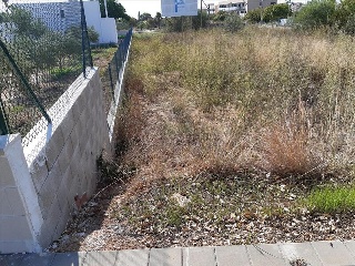 ROCA TALLADA 8