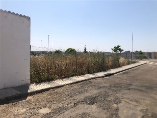 5 DE LA U.E.-NO-05/151. SAN AGUSTIN SUR 4
