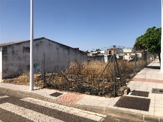Viejo de Mirandilla 6