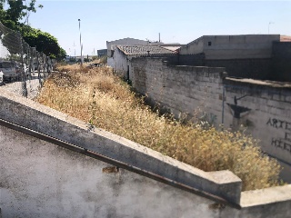 Viejo de Mirandilla 9