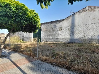 VIEJO DE MIRANDILLA 3