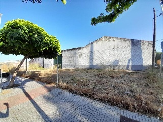 VIEJO DE MIRANDILLA 4