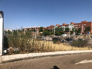 Viejo de Mirandilla 2