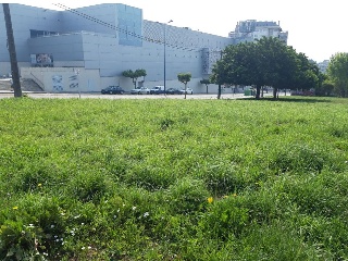 LAMAS DE PRADO 3