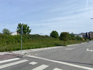 LAMAS DE PRADO 6