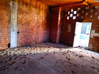 ALC M CASTAÑO 5
