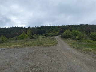 UNIC-ARAVELL 6