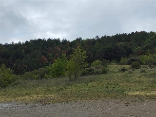UNIC-ARAVELL 8