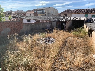El Donante 8