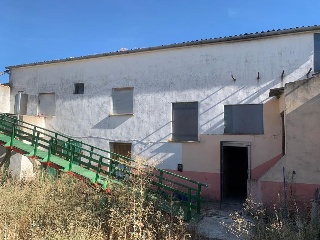 El Donante 9
