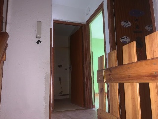 Macarro 13