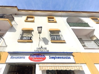 Pino El 2