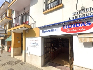 Pino El 3