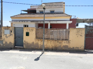 Los Girasoles 2
