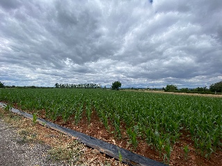 Vivienda en Pj Chana de Abajo, Carrizo (León) 4