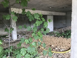 Casa unifamiliar en construción en Plaza Catalunya 8