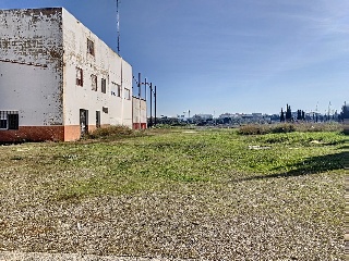 Nave industrial en Av Parque, Fuente Palmera (Córdoba) 4